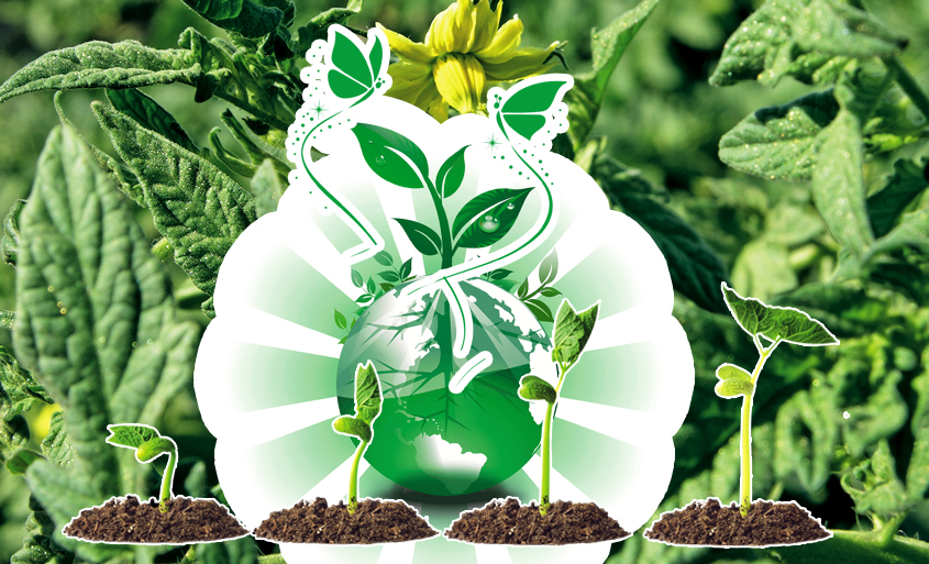 TARIMIN YURT EKONOMİSİNDEKİ ÖNEMİ