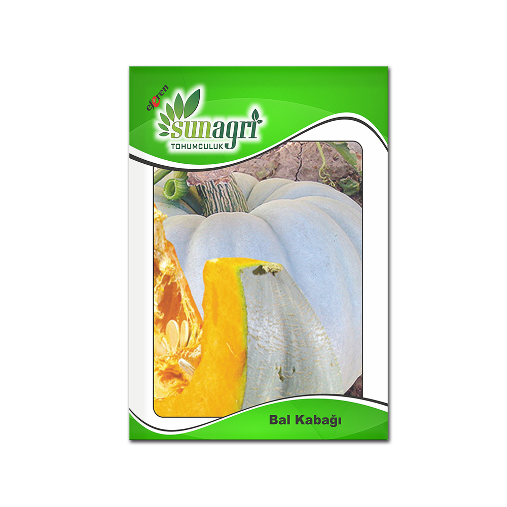 KABAK TOHUMLARI