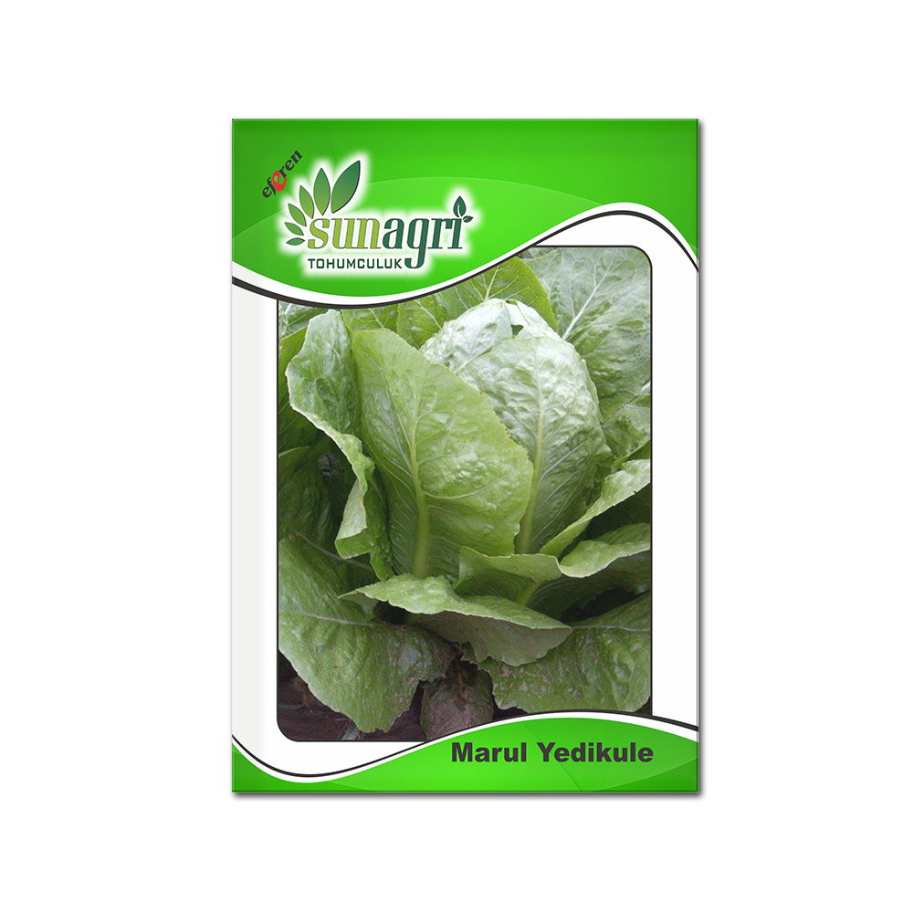 MARUL TOHUMLARI
