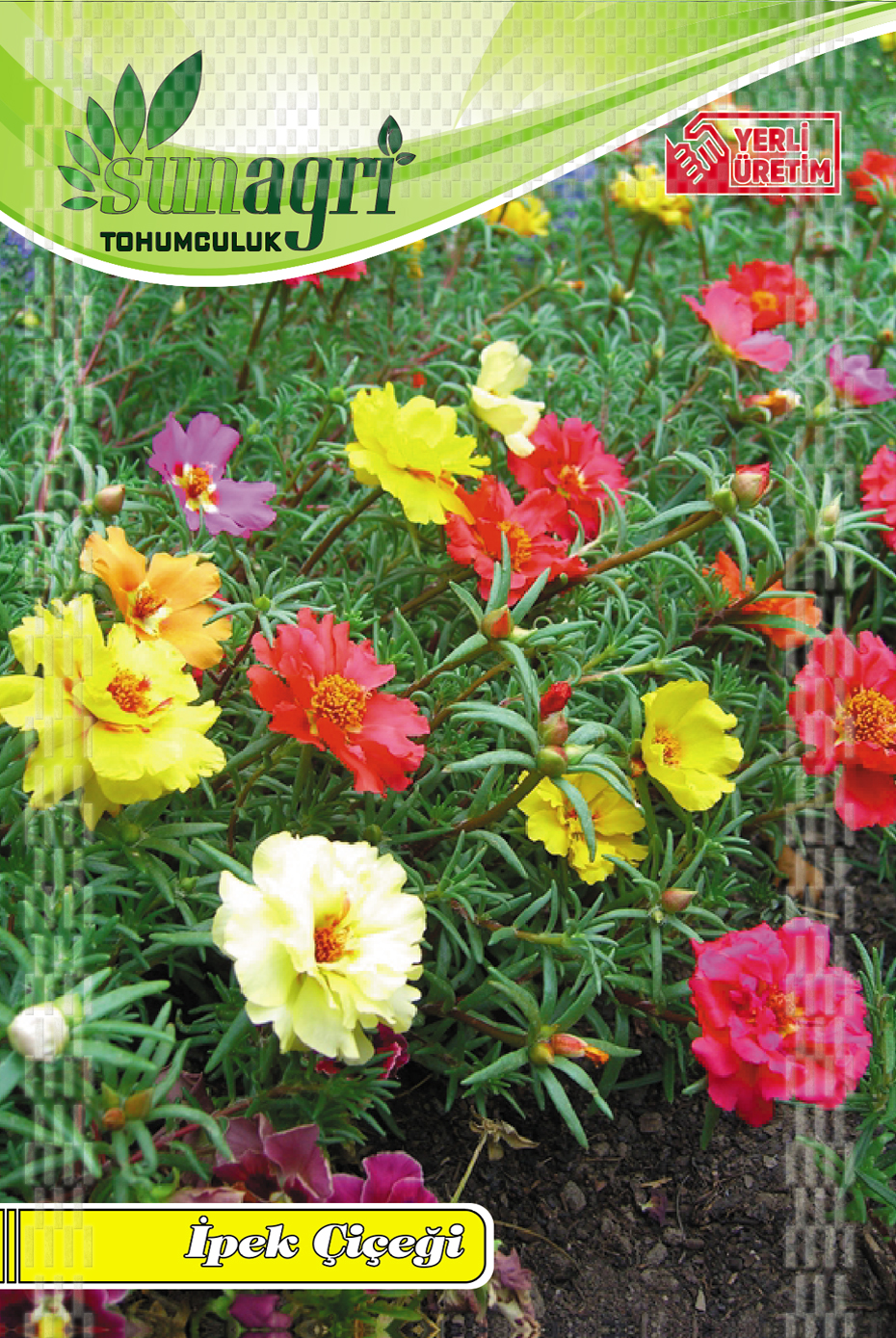 ÇİÇEK TOHUMLARI