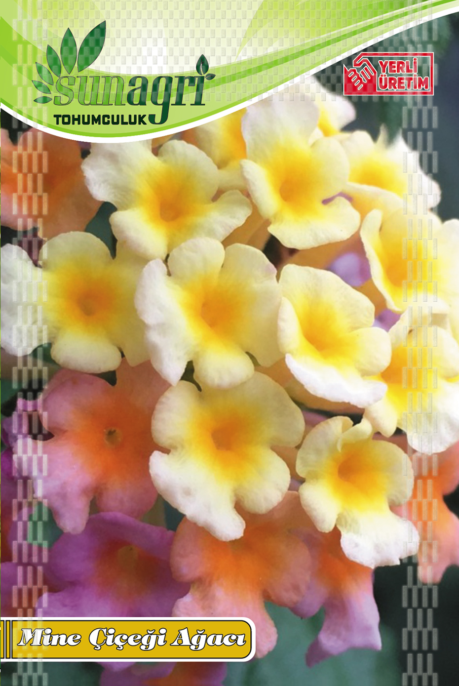 ÇİÇEK TOHUMLARI
