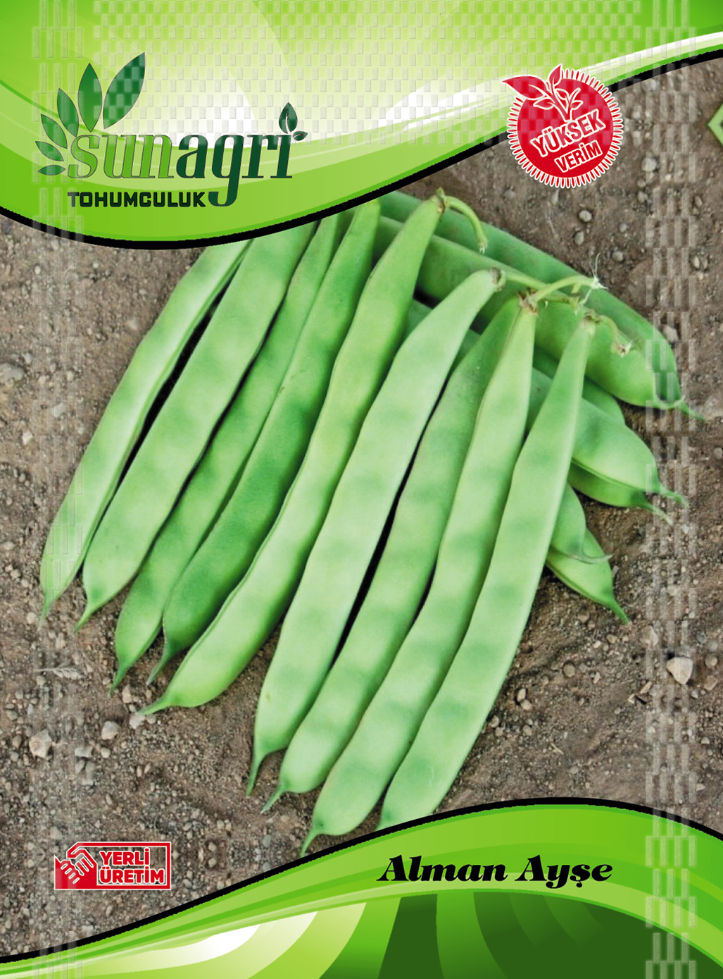 FASULYE TOHUMLARI
