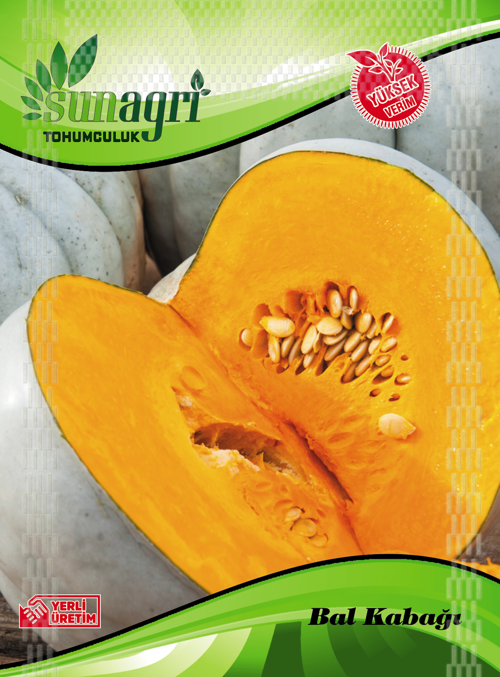 KABAK TOHUMLARI