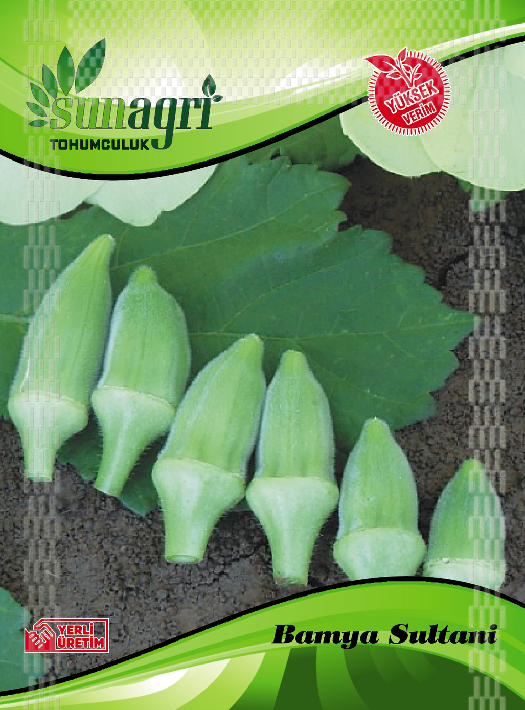 FASULYE TOHUMLARI