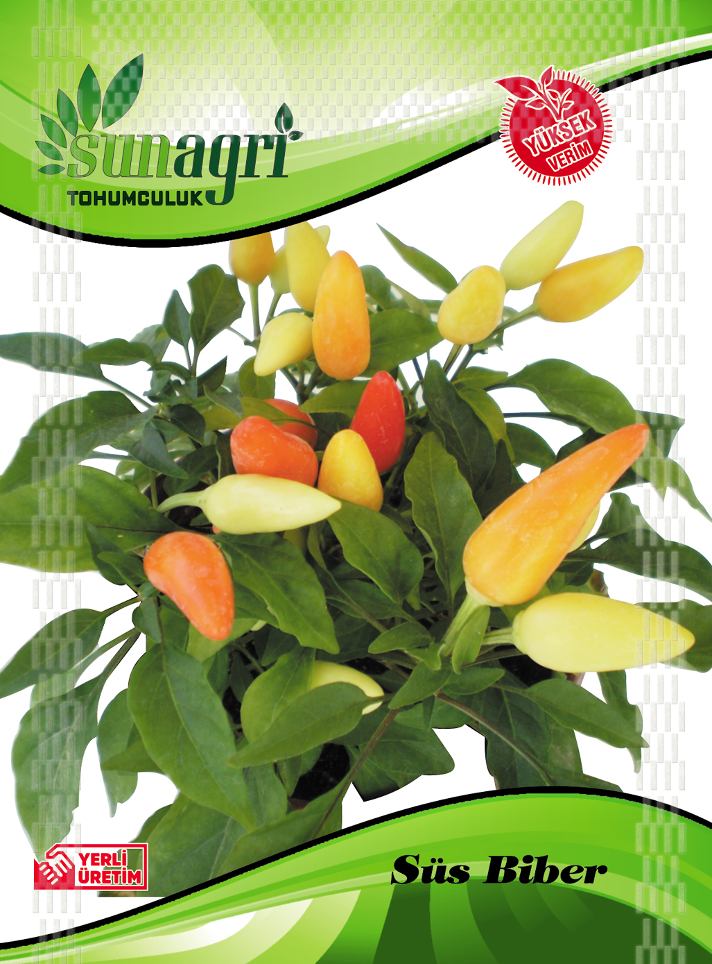 BİBER TOHUMLARI