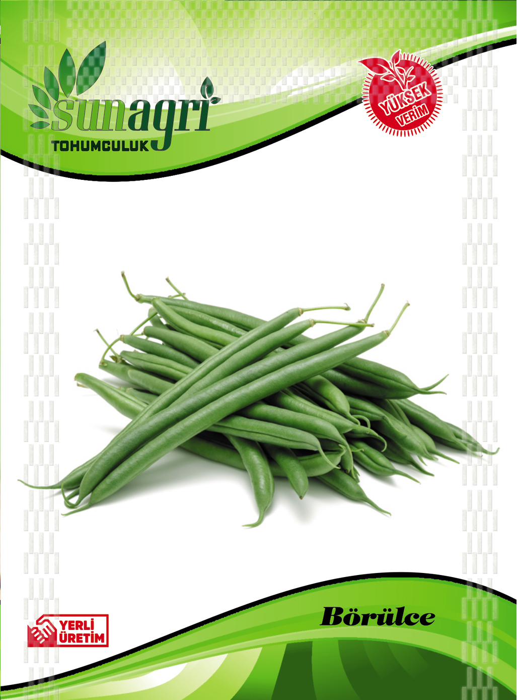 FASULYE TOHUMLARI