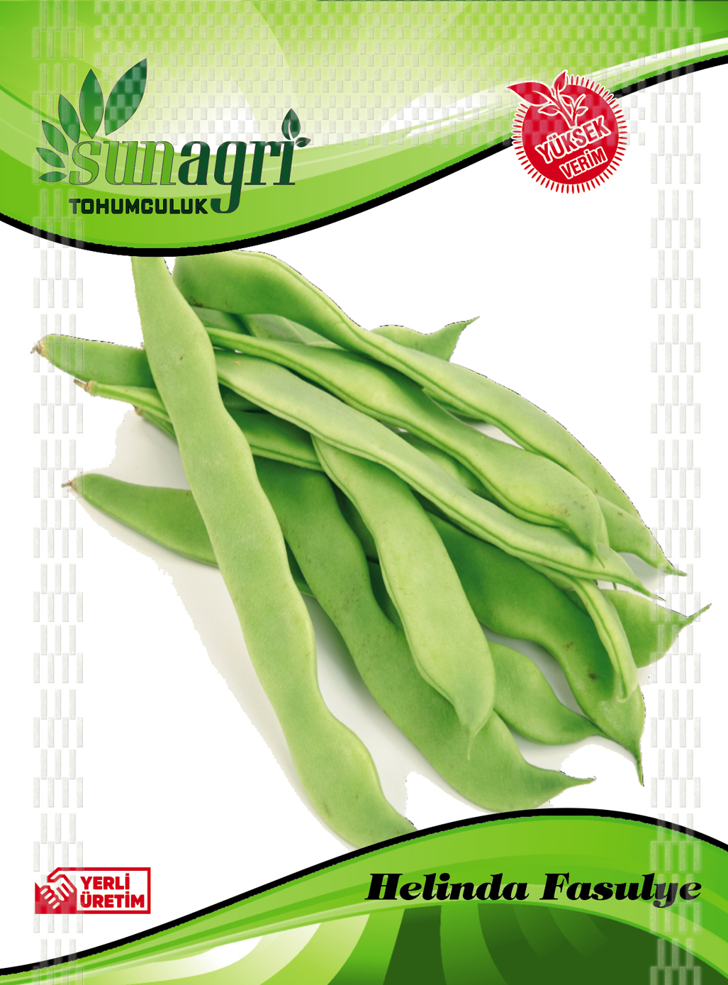 FASULYE TOHUMLARI
