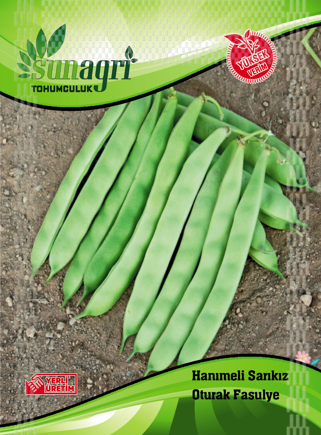 FASULYE TOHUMLARI