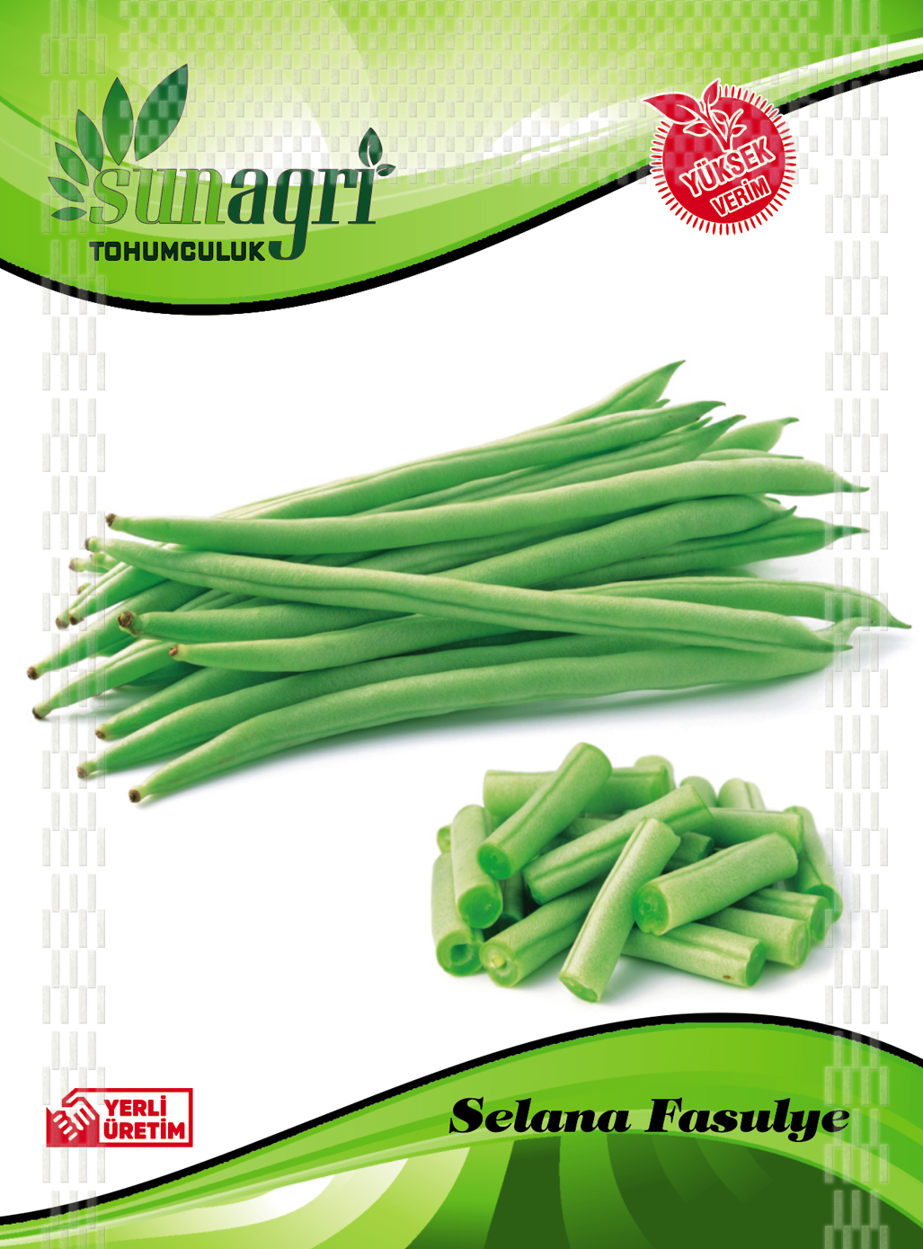 FASULYE TOHUMLARI