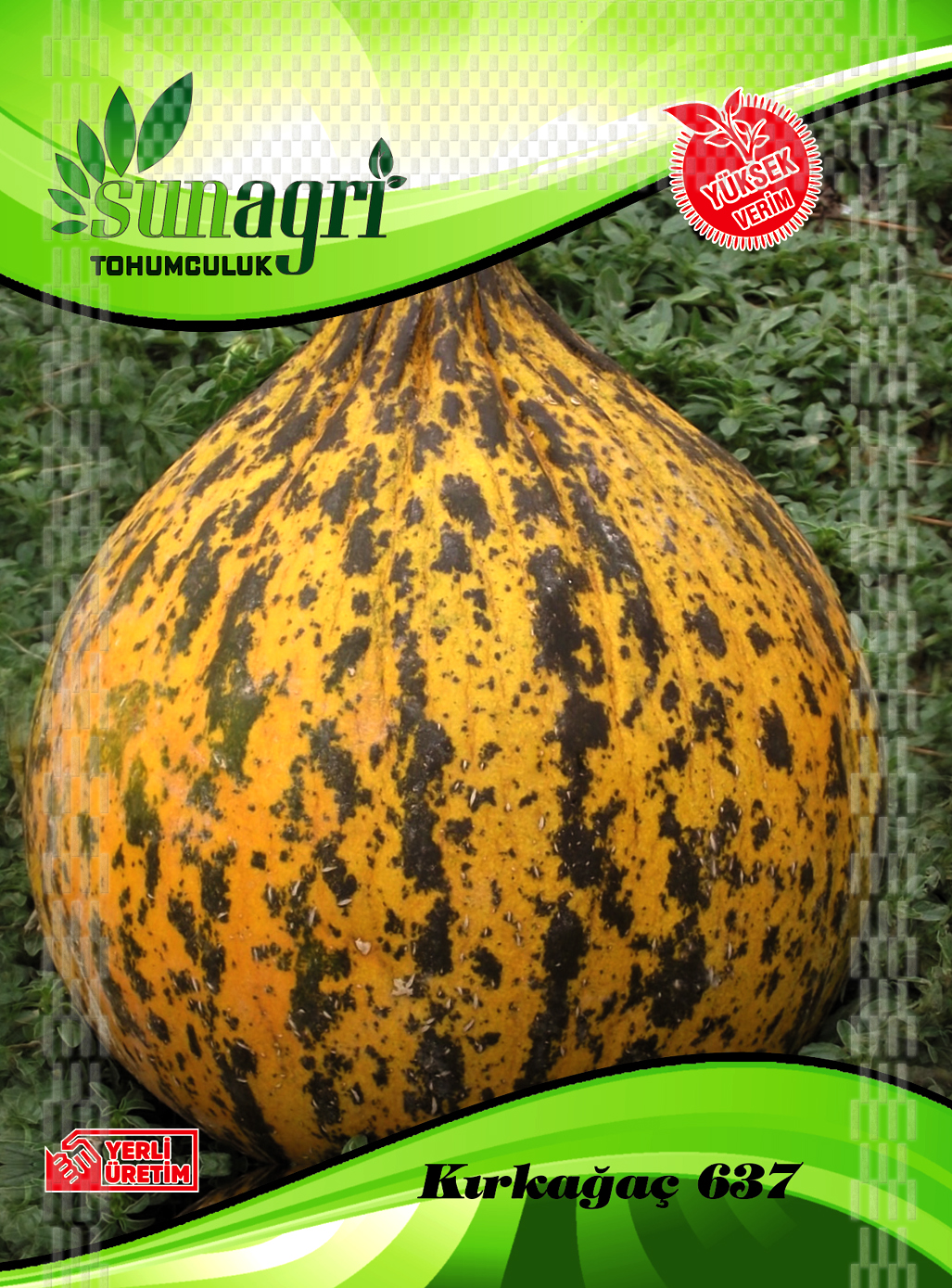 KAVUN KIRKAĞAÇ 637 ALTINBAŞ