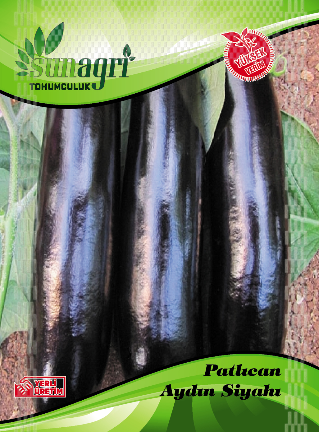 PATLICAN AYDIN SİYAHI
