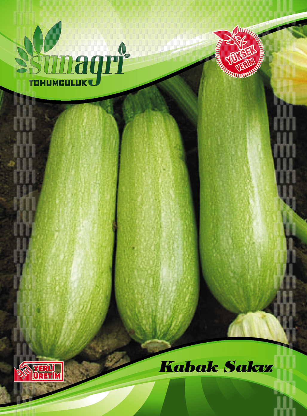 KABAK TOHUMLARI