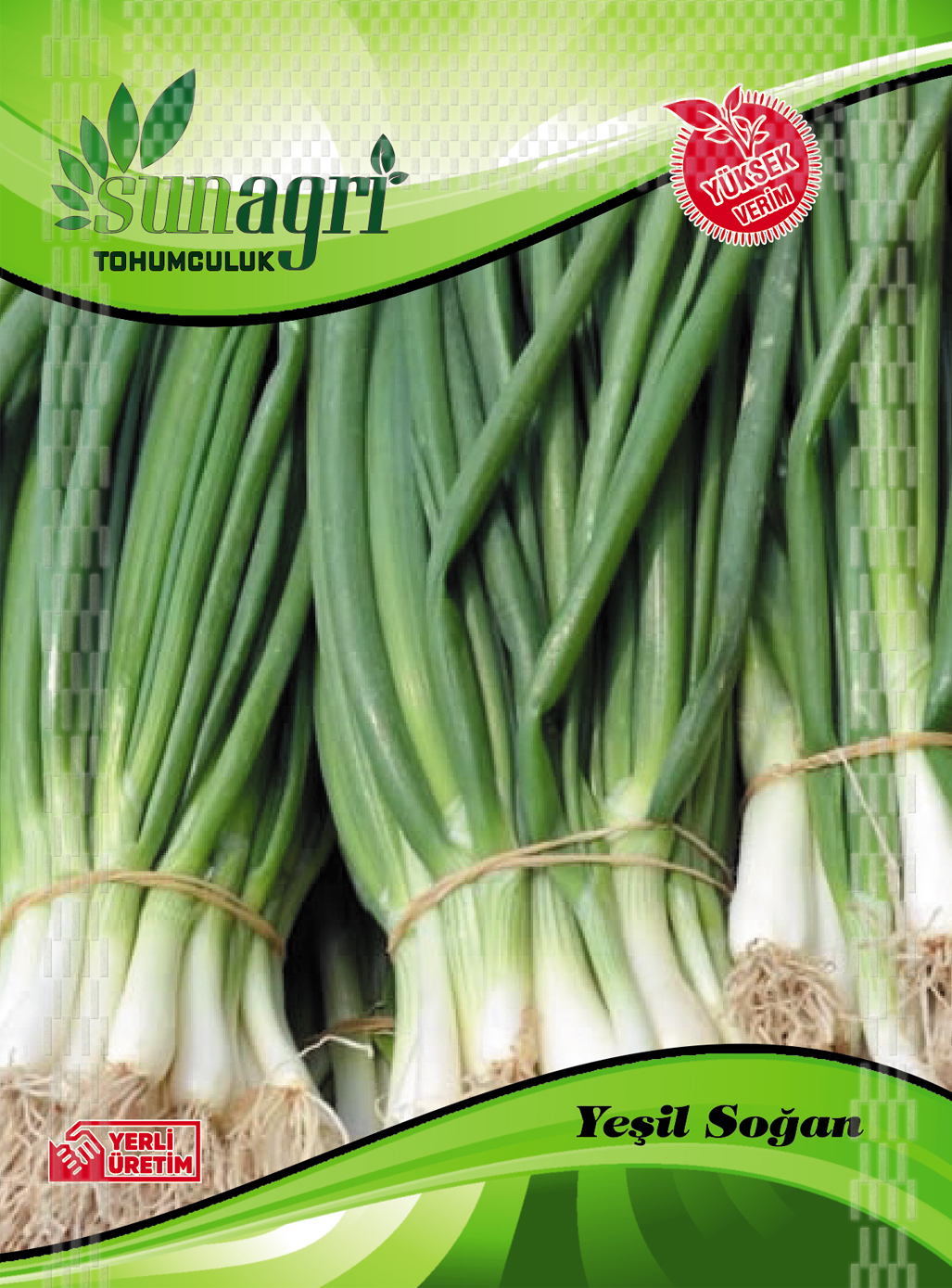 SOĞAN TOHUMLARI