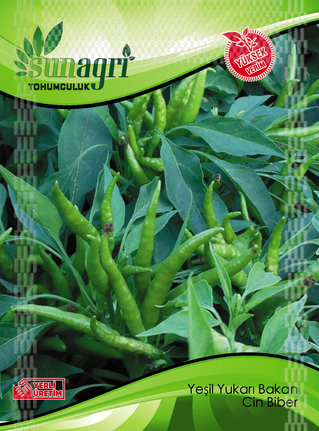 BİBER TOHUMLARI