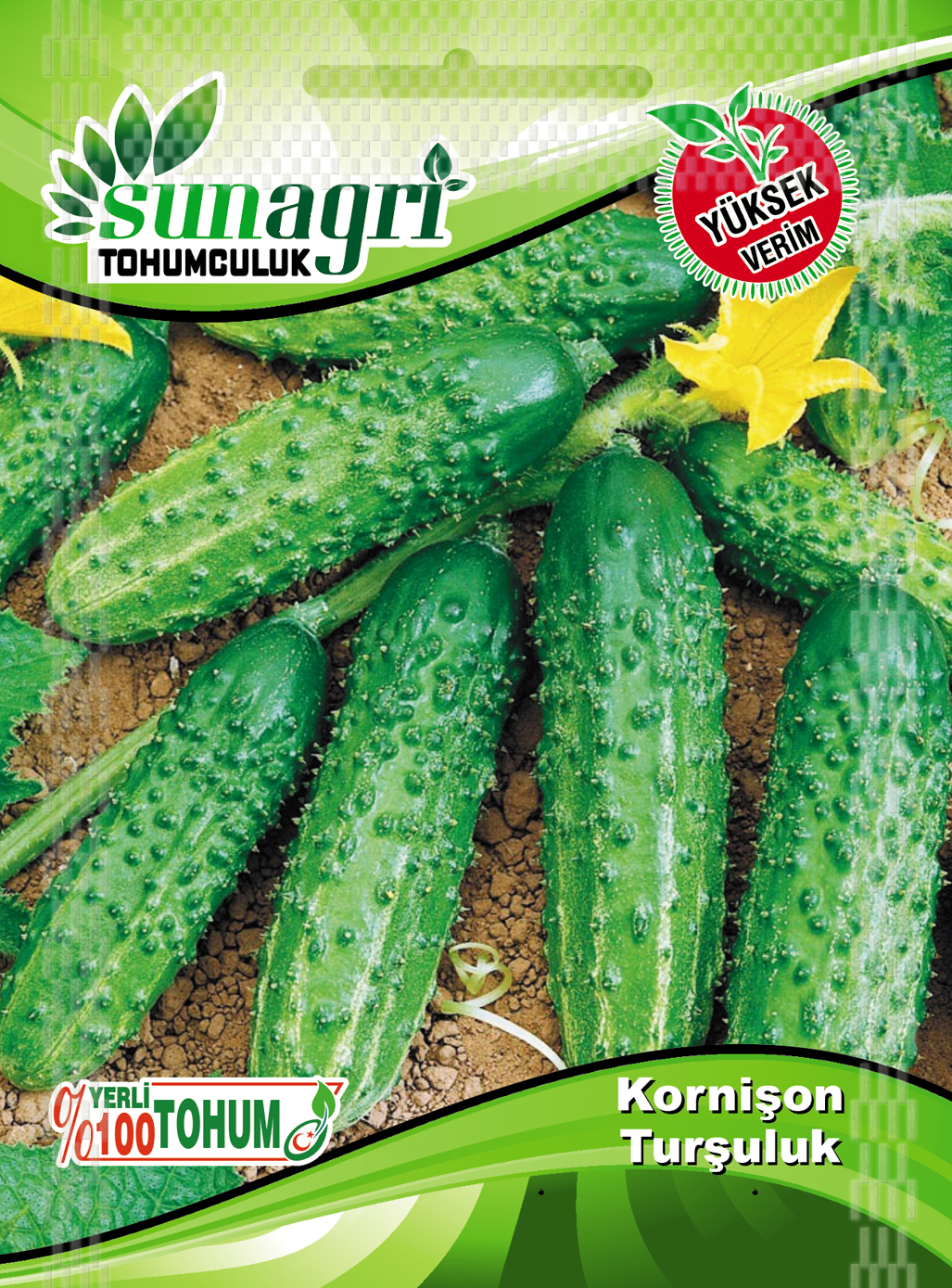 SALATALIK (KORNİŞON TURŞULUK)