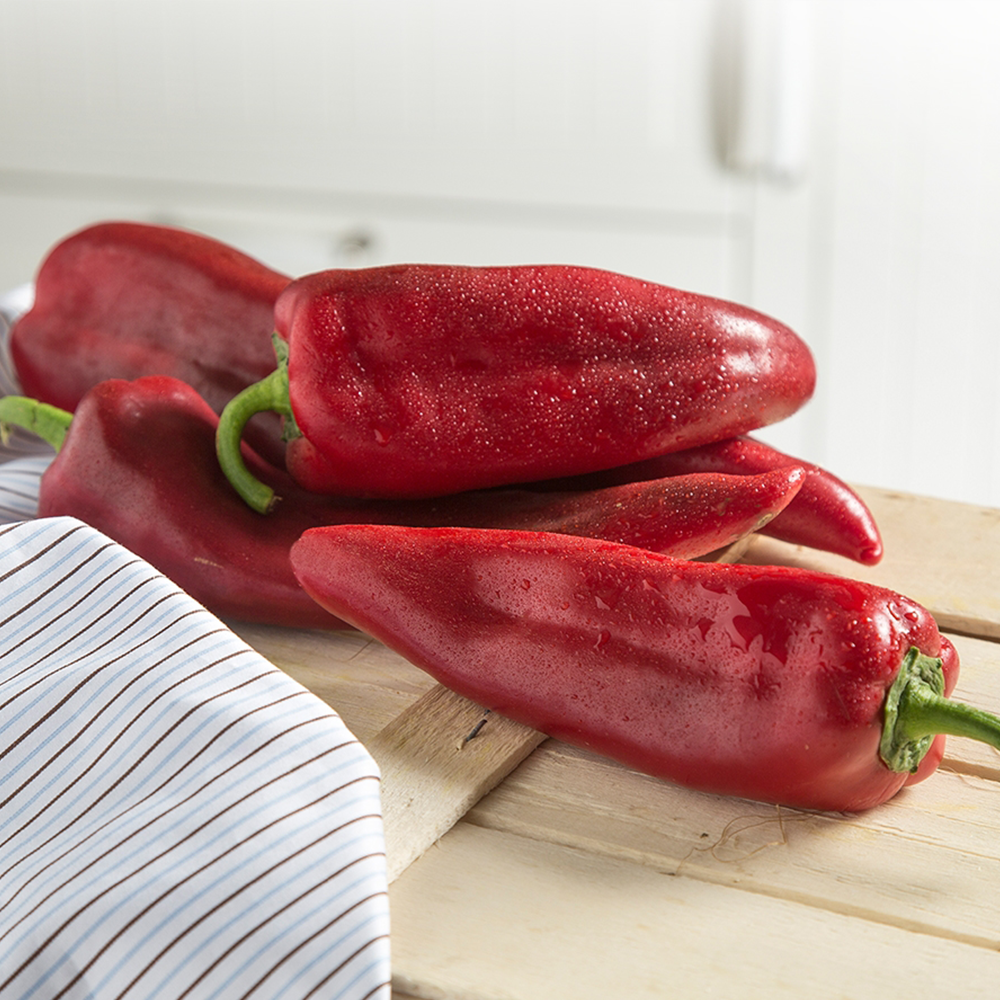 BİBER YAĞLIK KAPYA