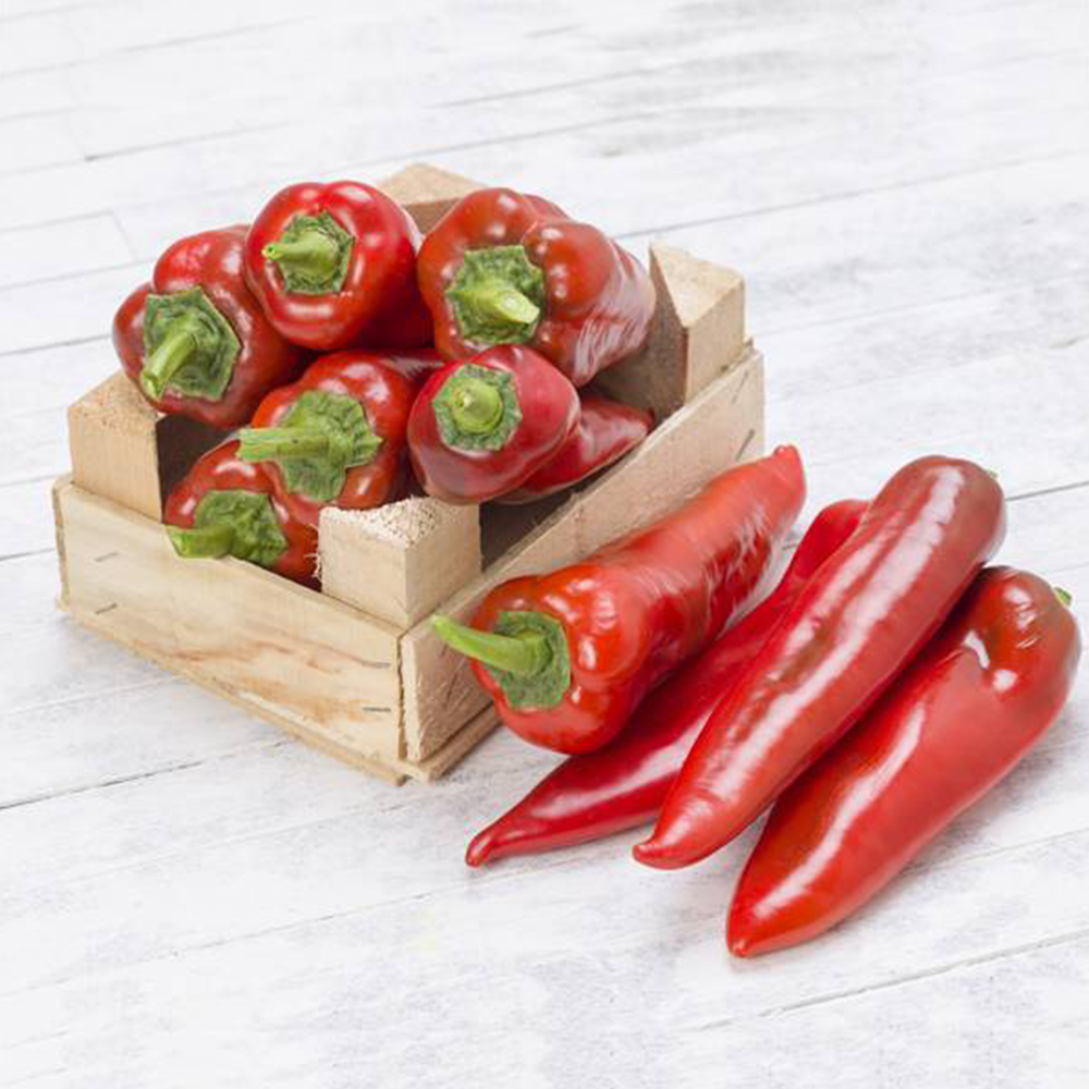 BİBER YAĞLIK KAPYA