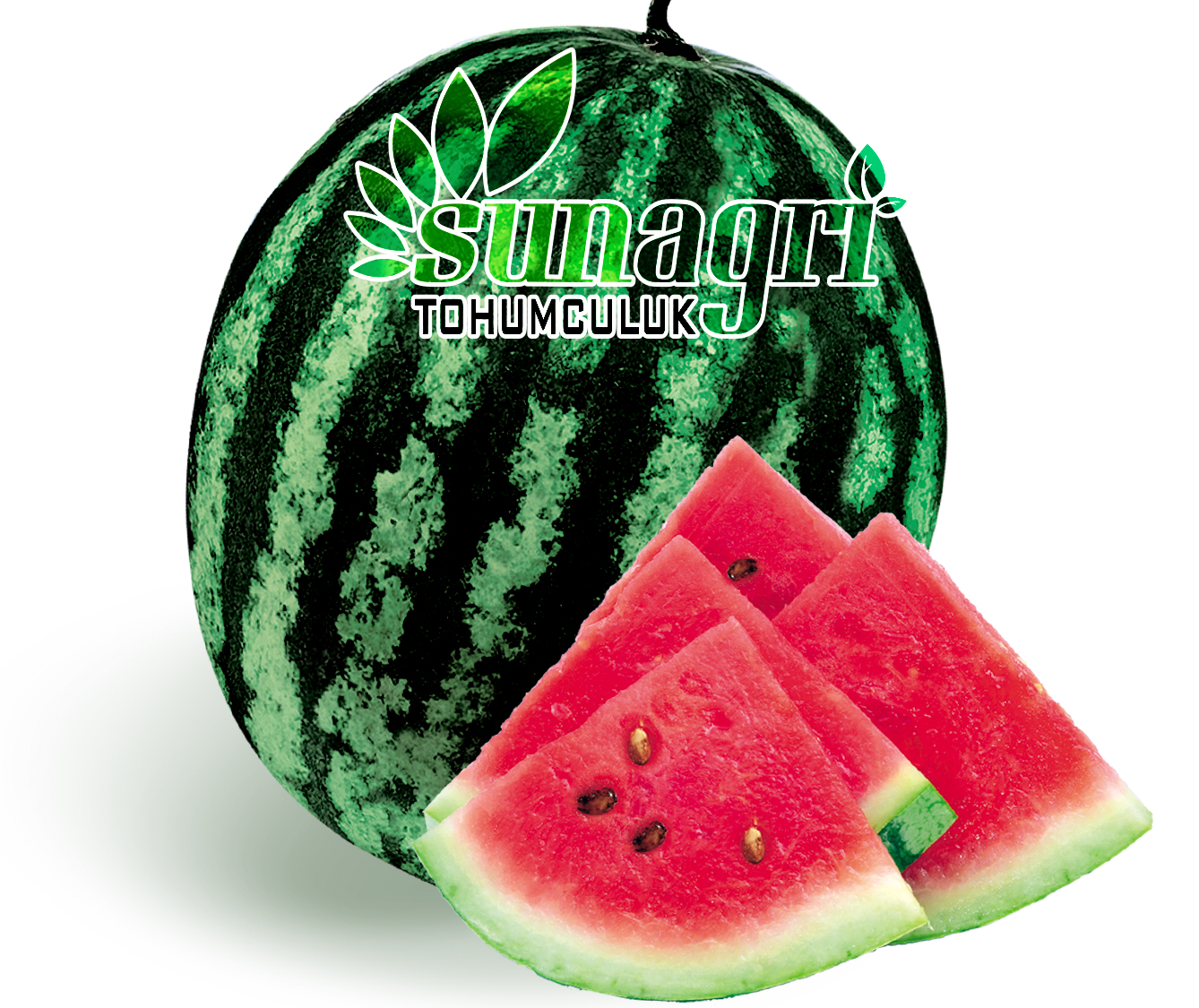 KARPUZ (CRİMSON SWEET)