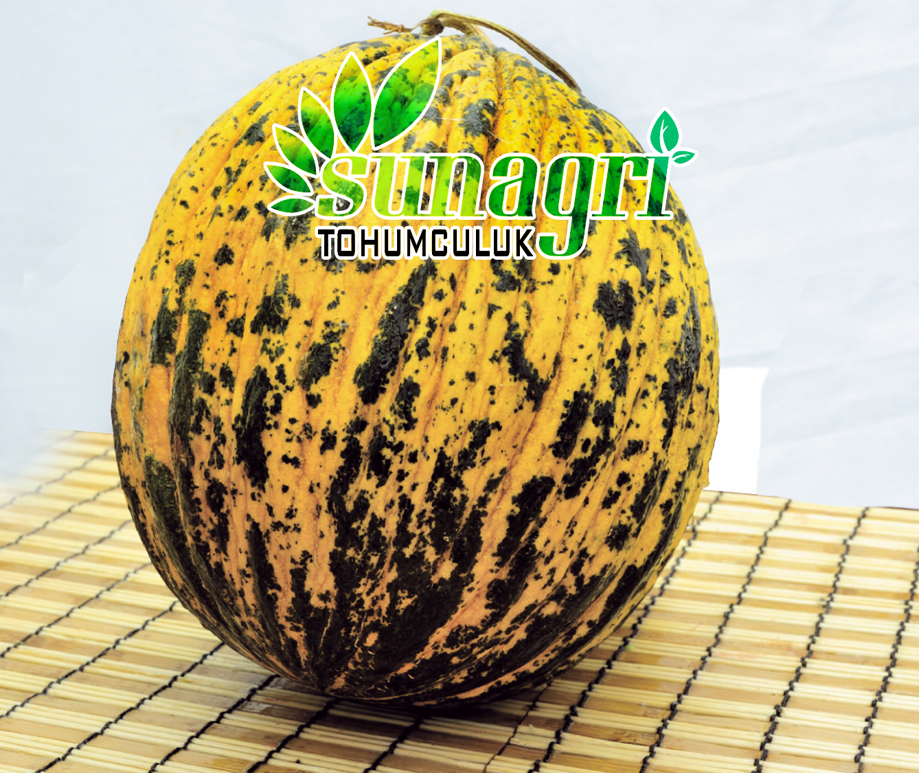 KAVUN KIRKAĞAÇ 637 ALTINBAŞ