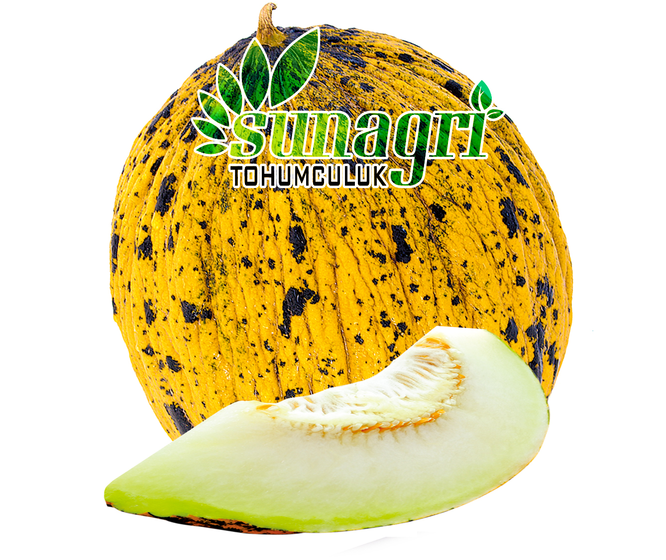 KAVUN KIRKAĞAÇ 637 ALTINBAŞ