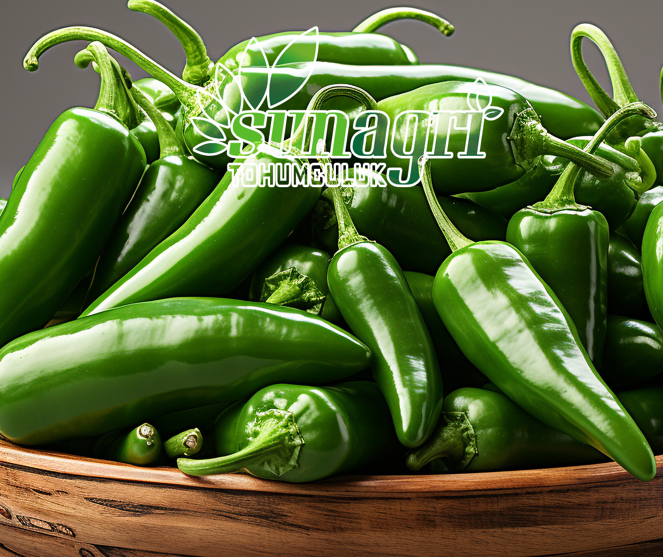 JALAPENO BİBER